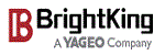 Brightking(台湾君耀)的LOGO