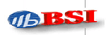 BSI[Brilliance Semiconductor]的LOGO