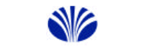 DAEWOO[Daewoo Semiconductor]的LOGO