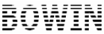 BOWIN[BOWIN ELECTRONIC CO.]的LOGO
