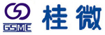 GSME[Guilin Strong Micro-Electronics Co., Ltd.]的LOGO